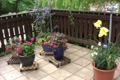 allerlei Fotos aus Windhagen