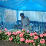 Hannelore mit Ihren Blumen