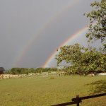 4MP859 Digital Camera