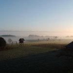 4MP859 Digital Camera