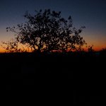 4MP859 Digital Camera