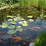 4MP859 Digital Camera