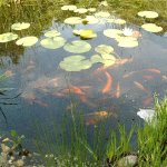 4MP859 Digital Camera