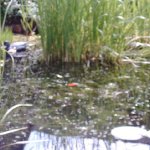 4MP859 Digital Camera