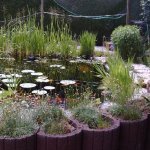 4MP859 Digital Camera